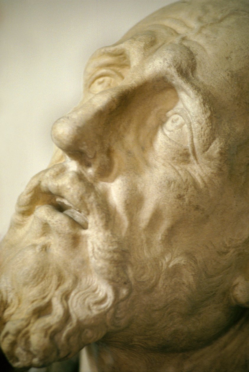St. Franciscus ontvangt de stigmata (detail van het hoofd) door Germain Pilon
