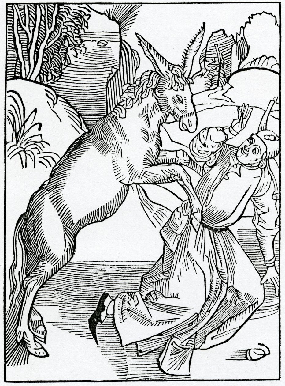 Van dwazen onderdrukt door hun eigen dwaasheid, illustratie uit Alexander Barclay