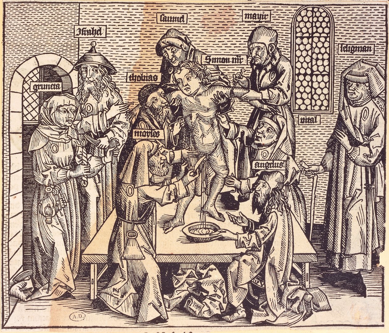 Anatomieles (gravure) door German School