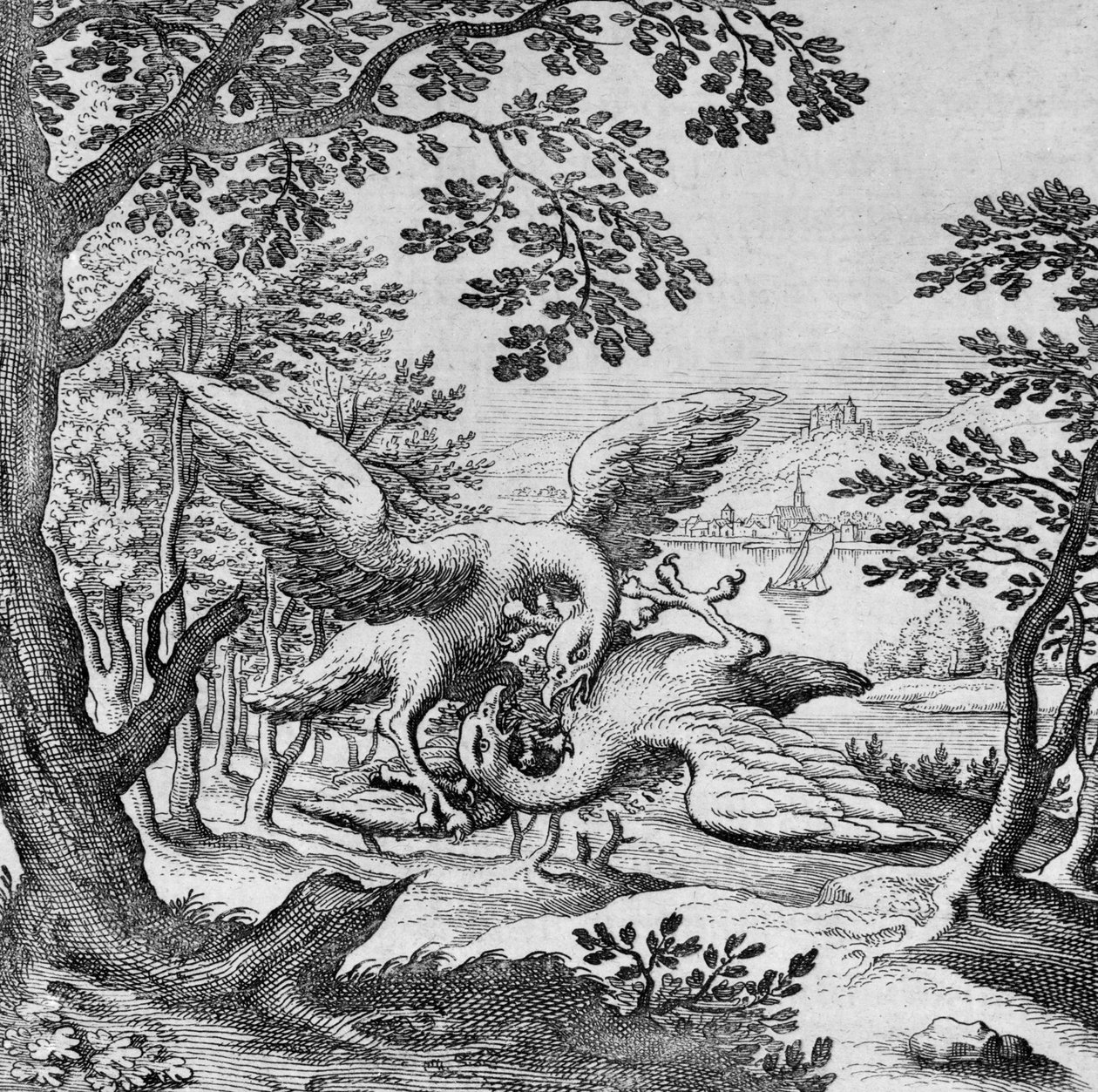 Vechten vogels uit Musaeum Hermeticum door German School