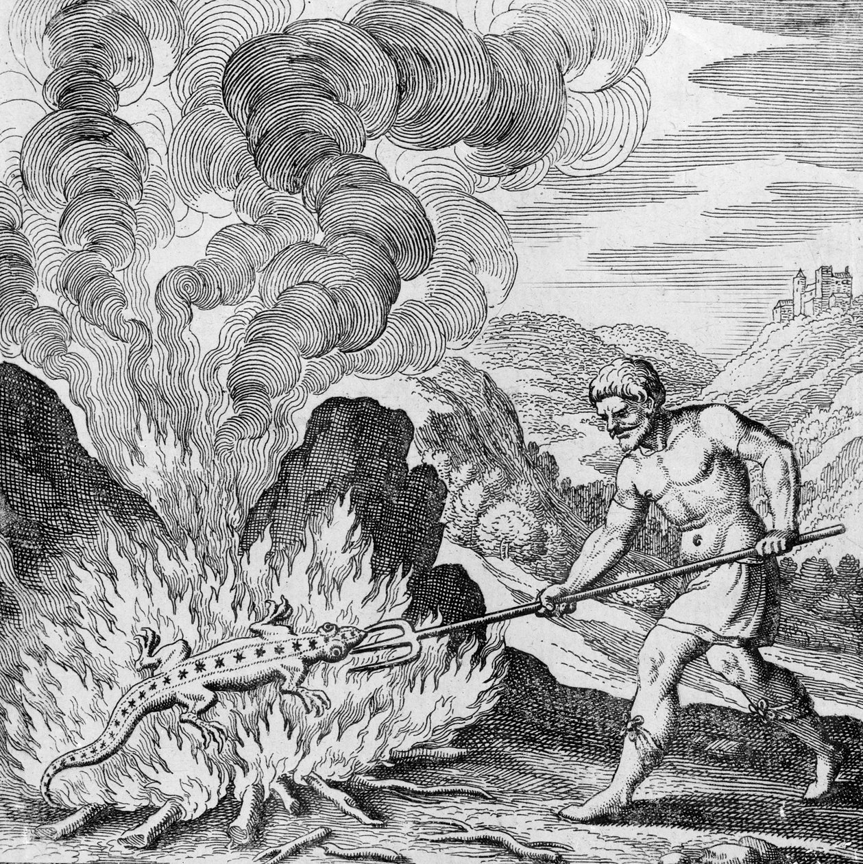 Een salamander verbranden uit Musaeum Hermeticum door German School