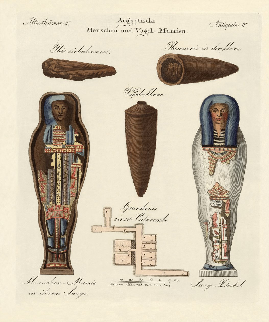 Egyptische mummies door German School