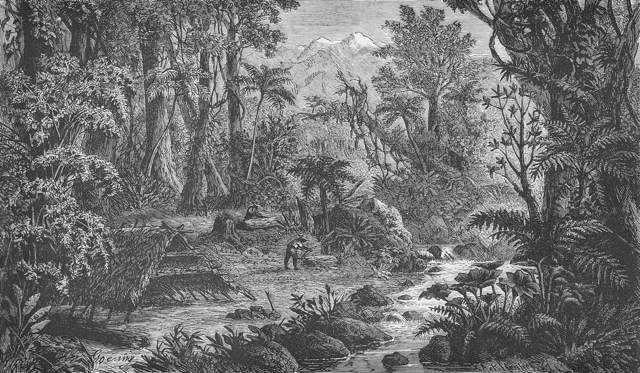 Bosscène in Verder India door German School