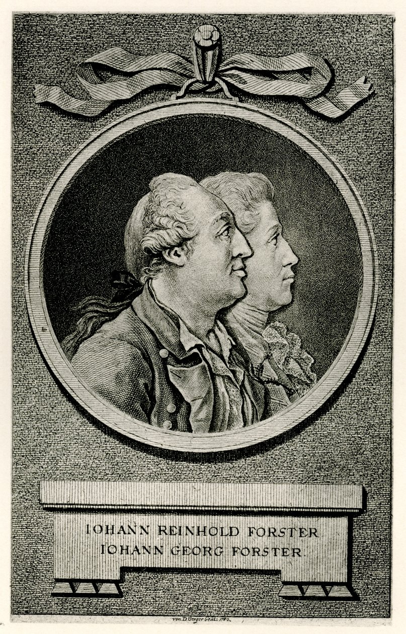 Johann Georg Forster door German School