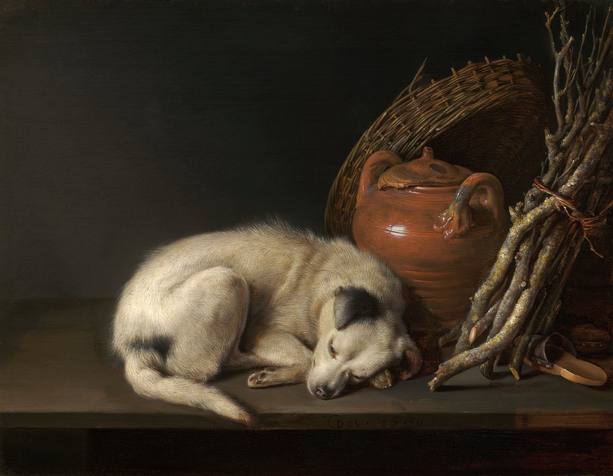 Een slapende hond door Gerrit Dou