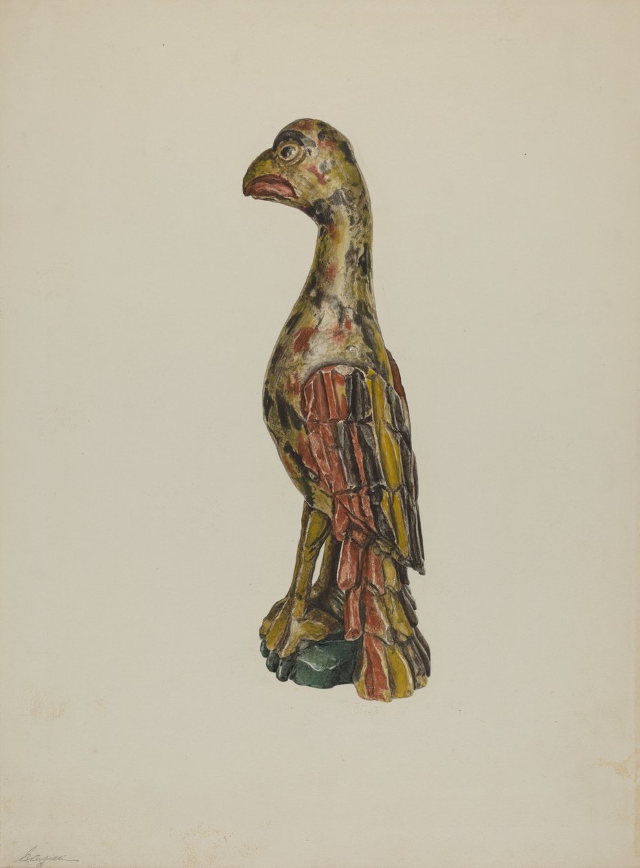 Pa. Duitse Papegaai door Giacinto Capelli
