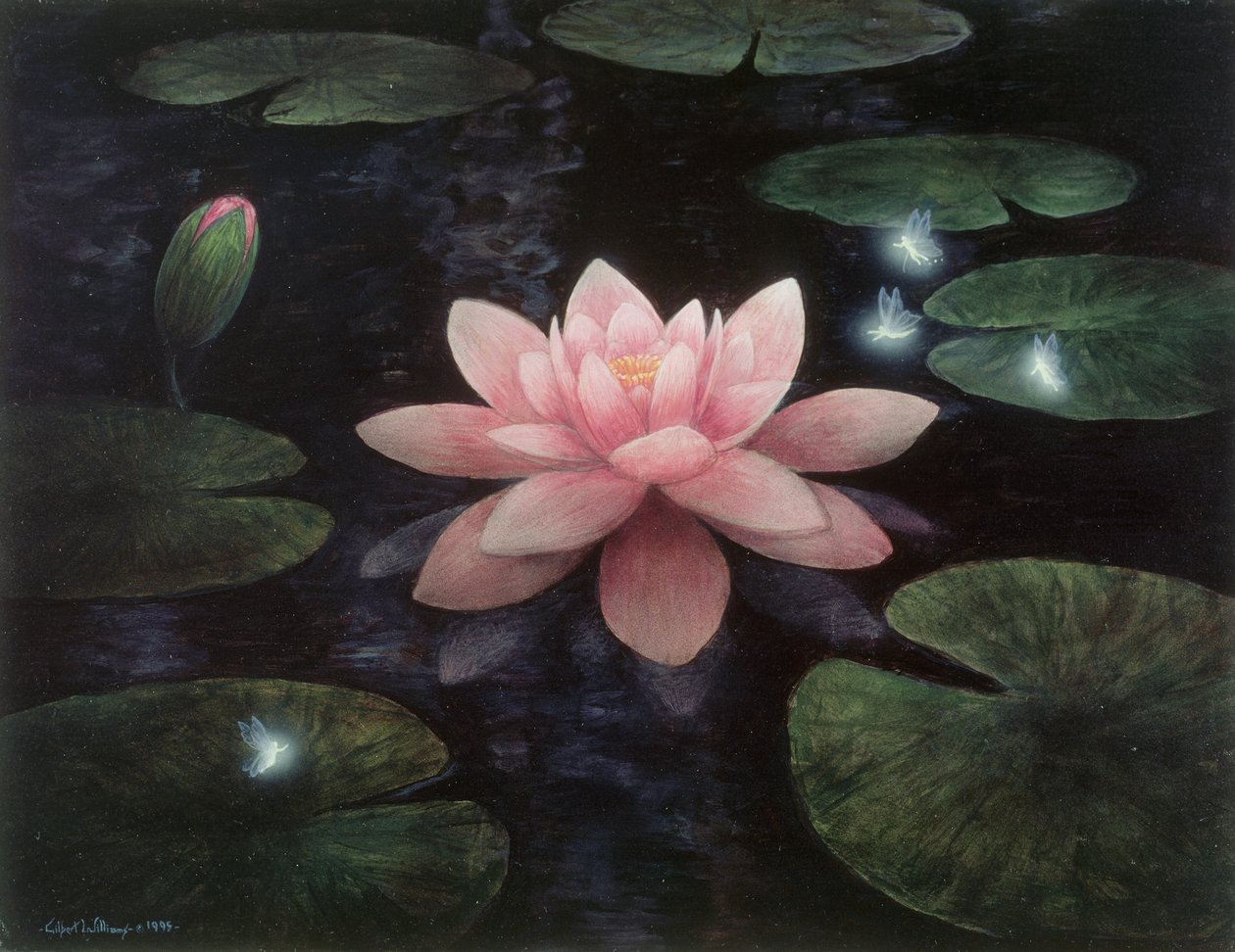 Lotus sprites door Gilbert Williams