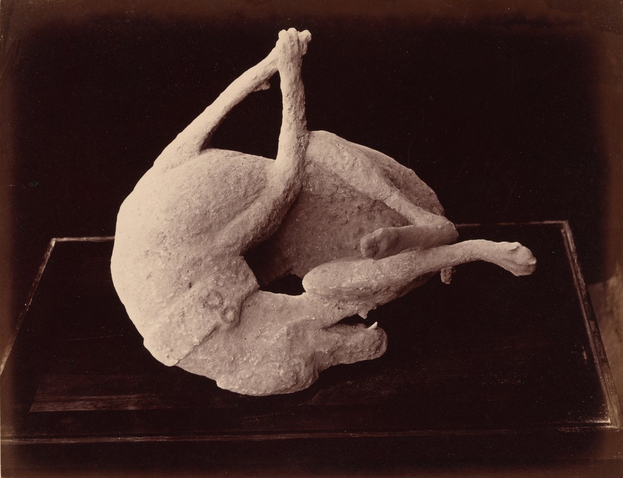 Afgietsel, Pompeii, ca. 1870 (foto) door Giorgio Sommer