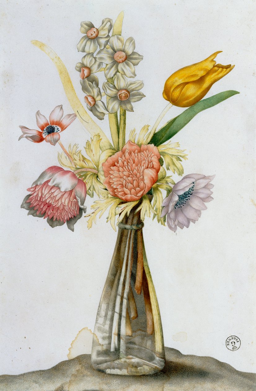 Glazen vaas met anemonen, een narcis en een tulp door Giovanna Garzoni