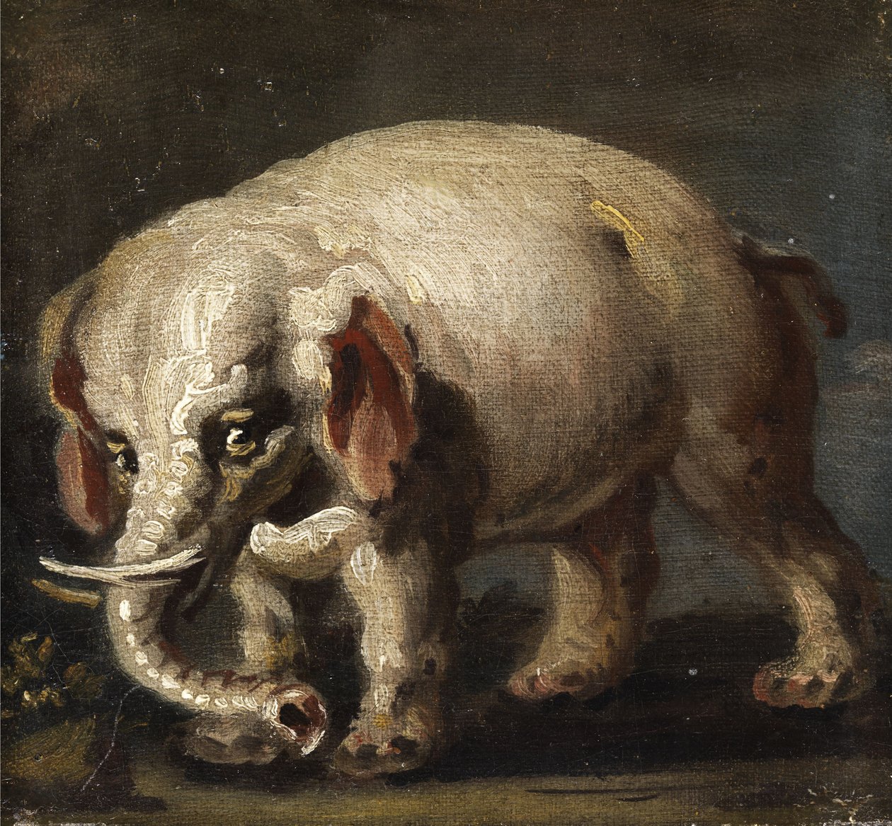 Olifant door Giovanni Antonio Guardi