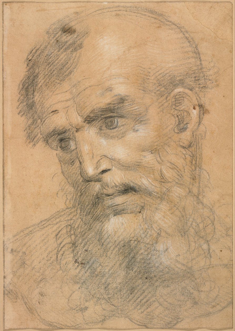 Hoofd van een bebaarde man (recto); Studie voor een sacra conversazione (verso) door Giovanni Antonio Sogliani