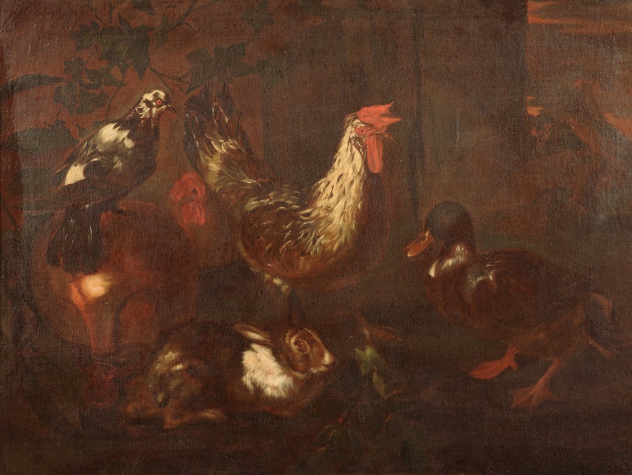 Pluimvee en konijnen door Giovanni Francesco Cassana