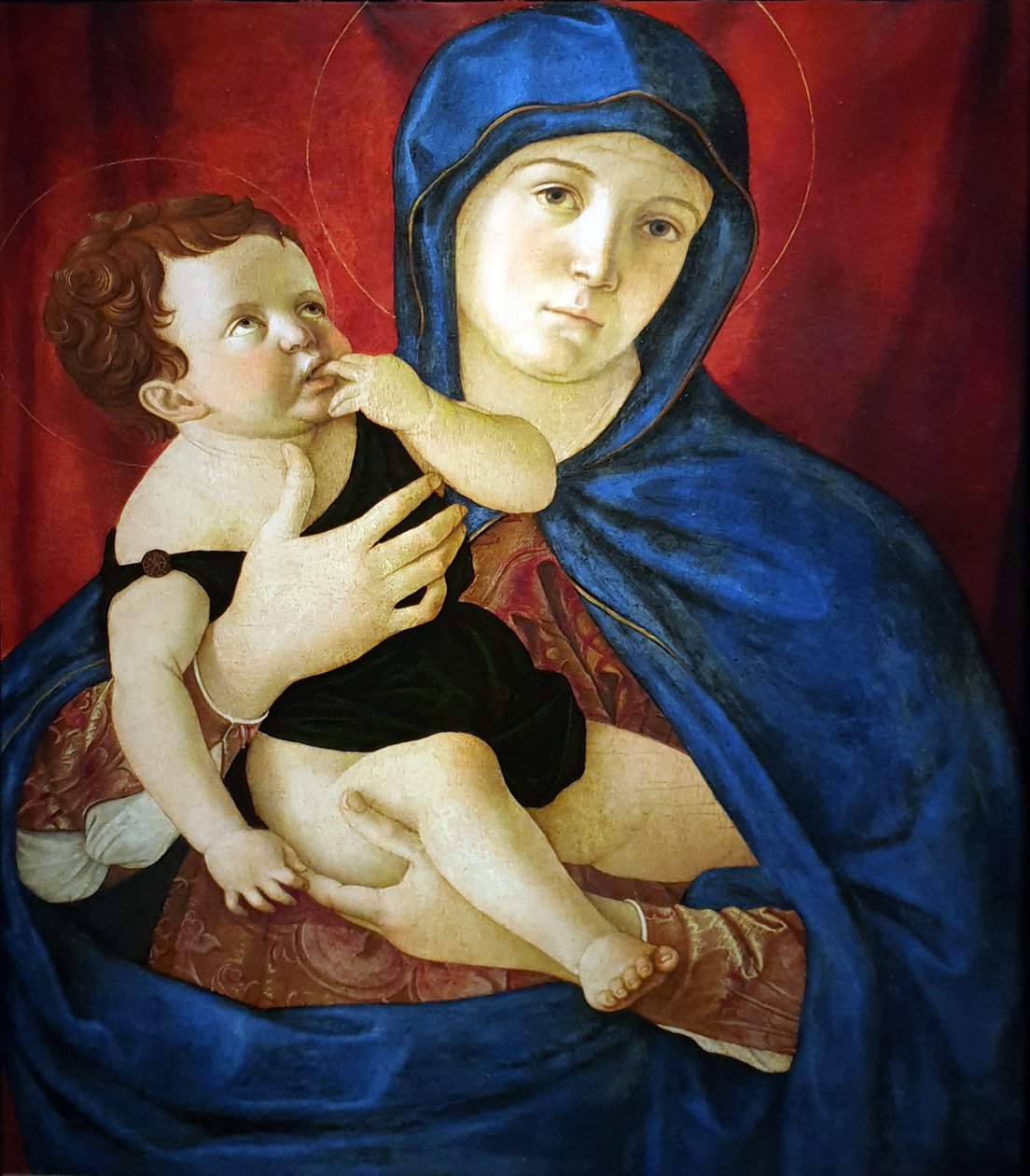 De maagd en het kind door Giovanni Bellini