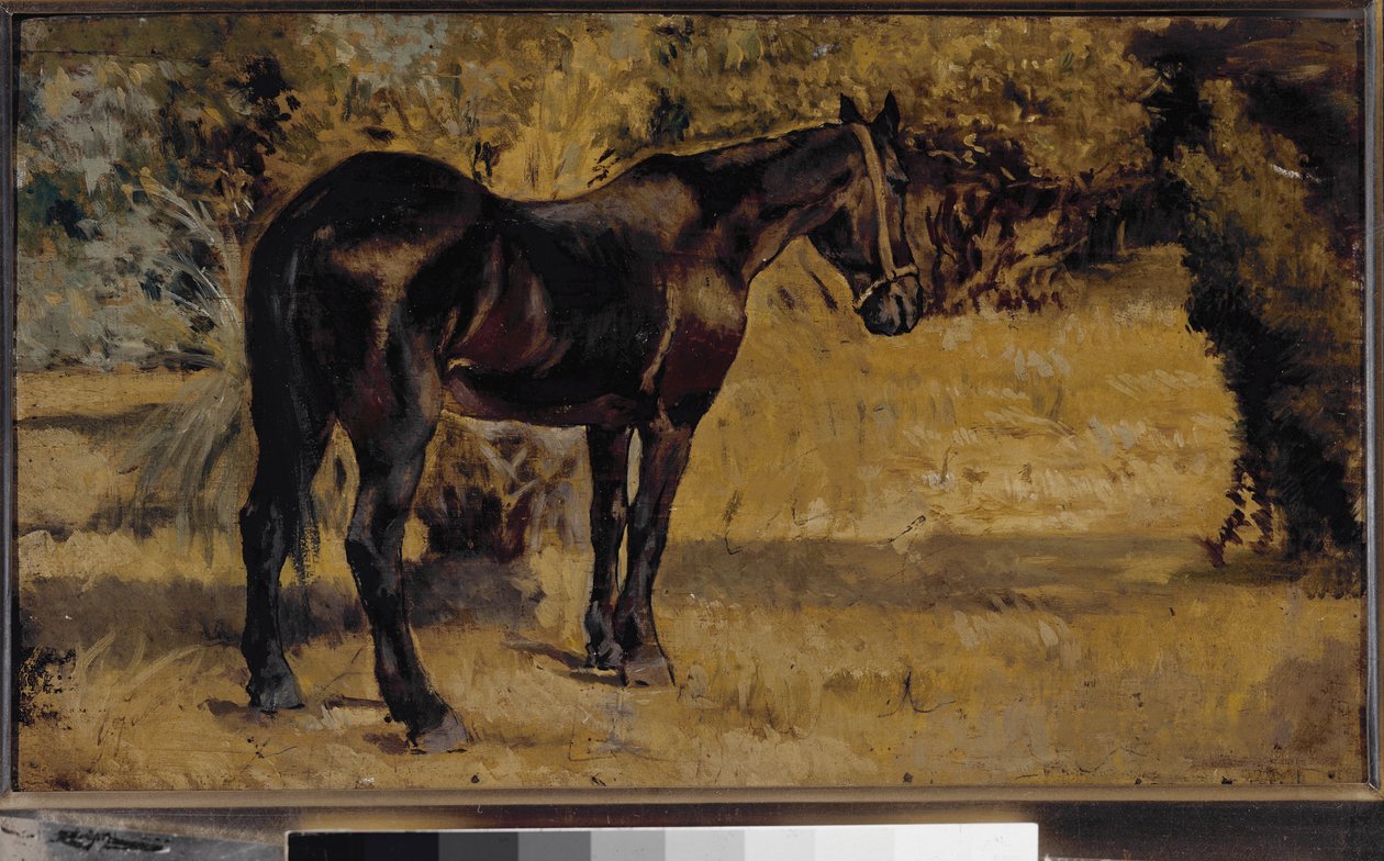 Donker paard door Giovanni Fattori