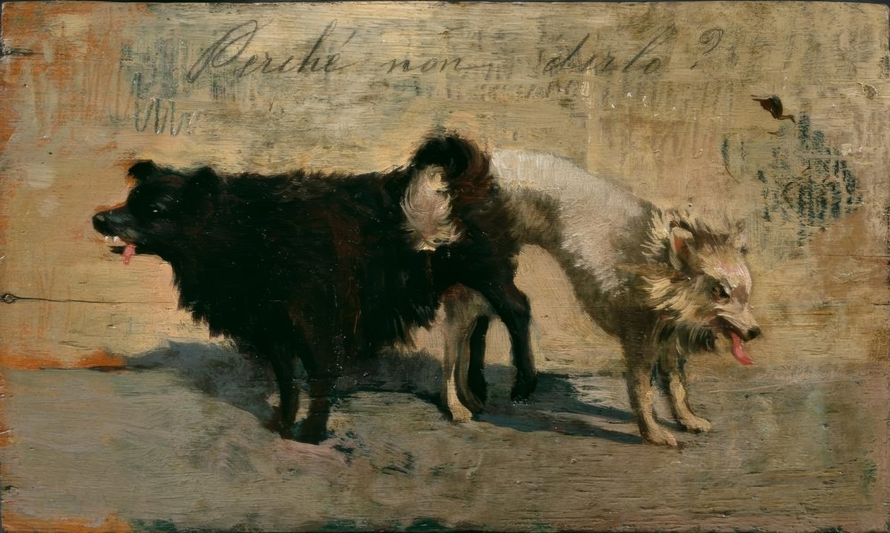 Waarom niet zeggen? door Giovanni Fattori