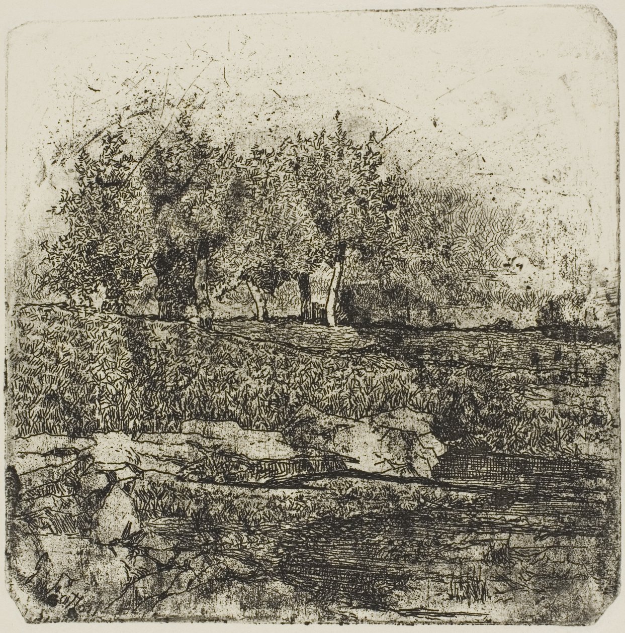 Bomen in een weiland door Giovanni Fattori