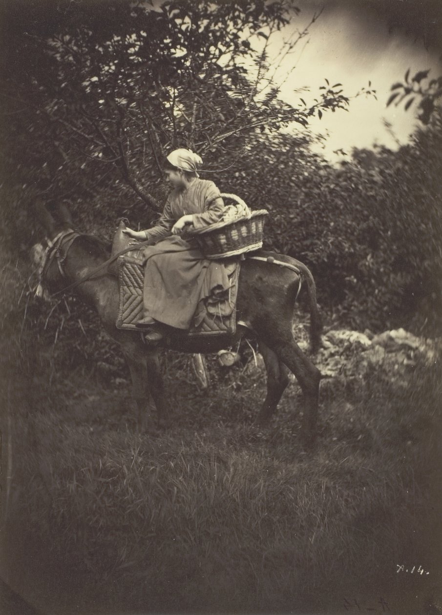 Vrouwelijke boer op een ezel, 1870 door Giraudon