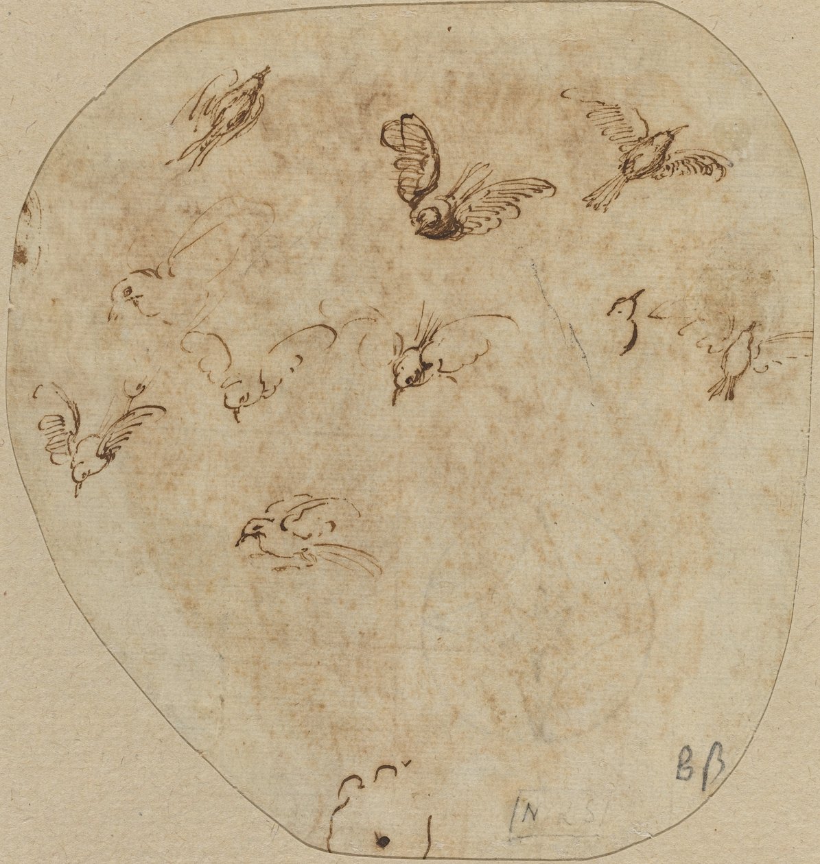 Vogels in vlucht [verso] door Girolamo Mazzola Bedoli
