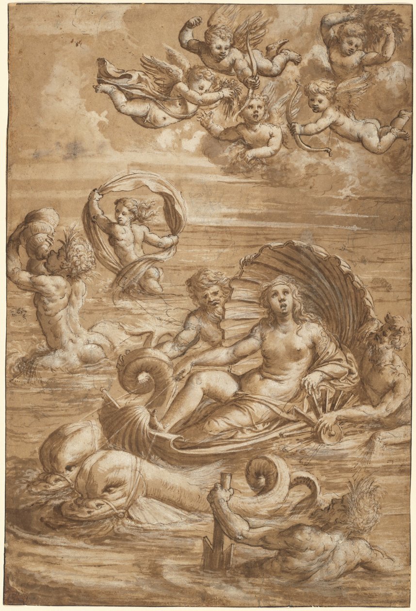De Triomf van Galatea door Girolamo da Treviso II