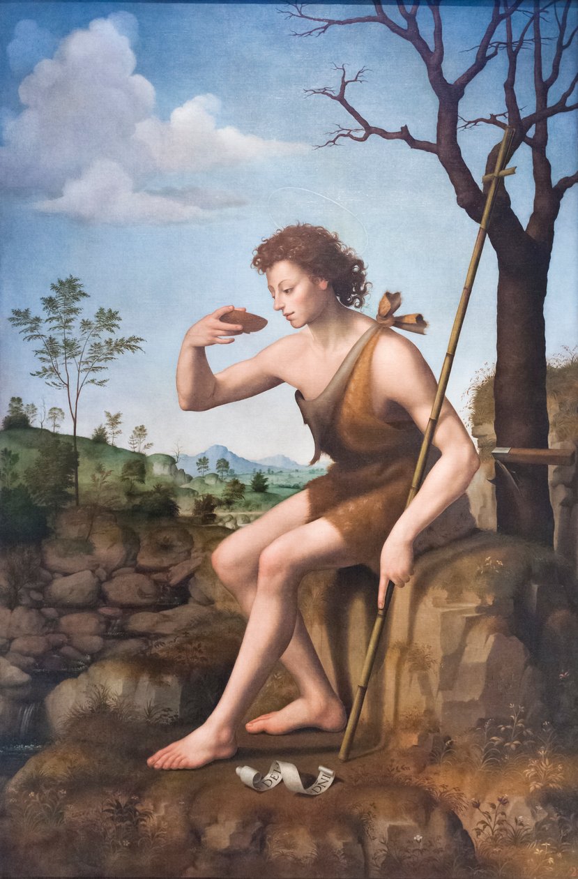 Sint Johannes de Doper door Giuliano Bugiardini