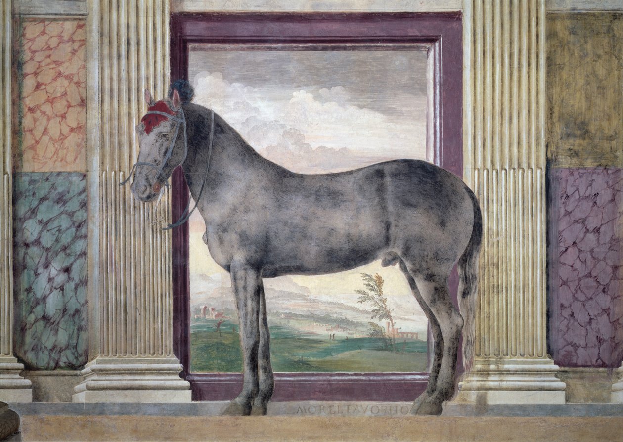 Sala dei Cavalli, (detail) door Giulio Romano