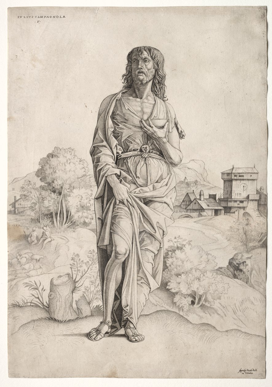 Sint Jan de Doper door Giulio Campagnola