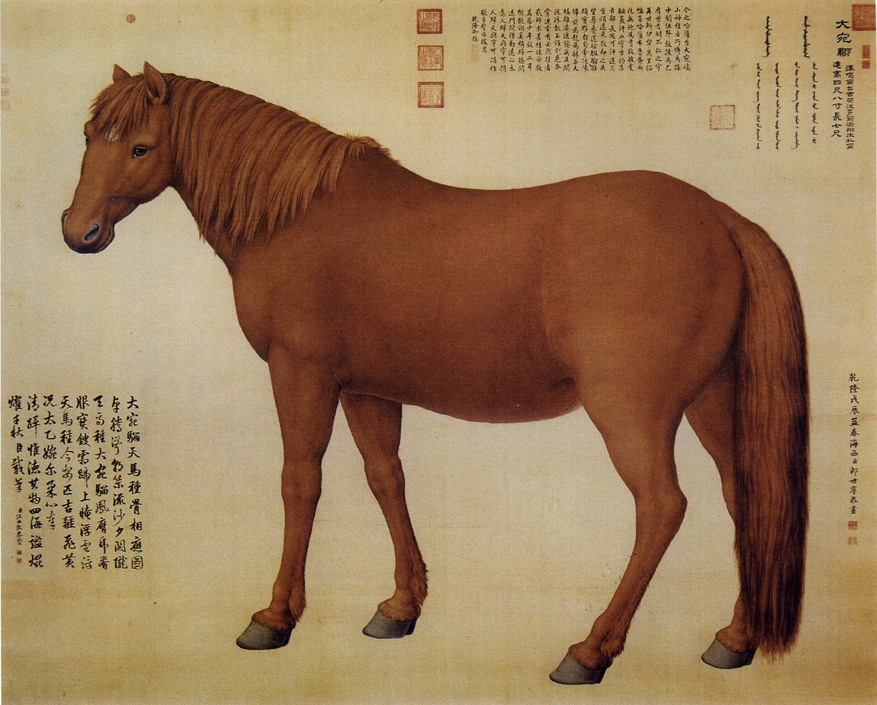 Een paard genaamd Dawanliu door Giuseppe Castiglione