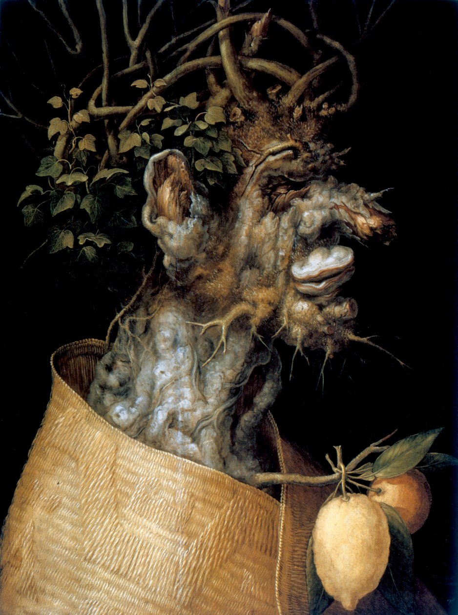 Winter, 1563 door Giuseppe Arcimboldi