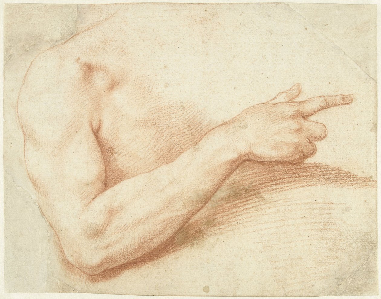 Studie van een arm door Giuseppe Cesari