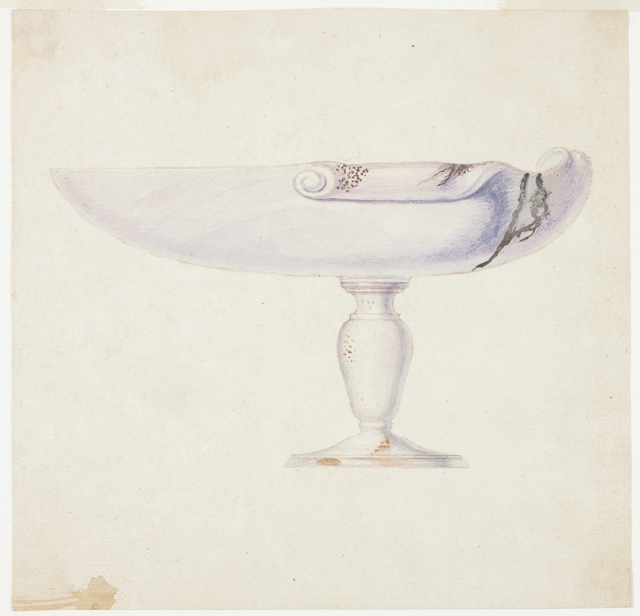 Paarse schelp op een standaard door Giuseppe Grisoni