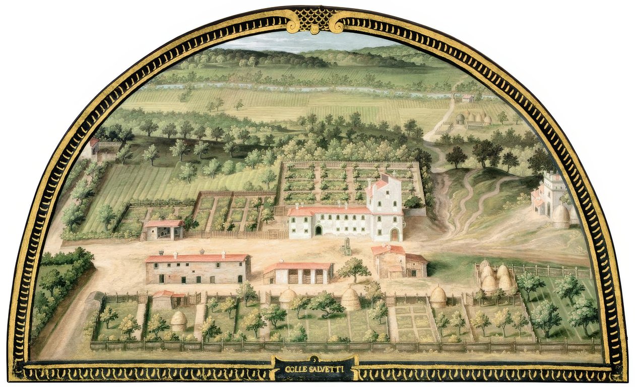 Villa Medicea di Collesalvetti door Giusto Utens