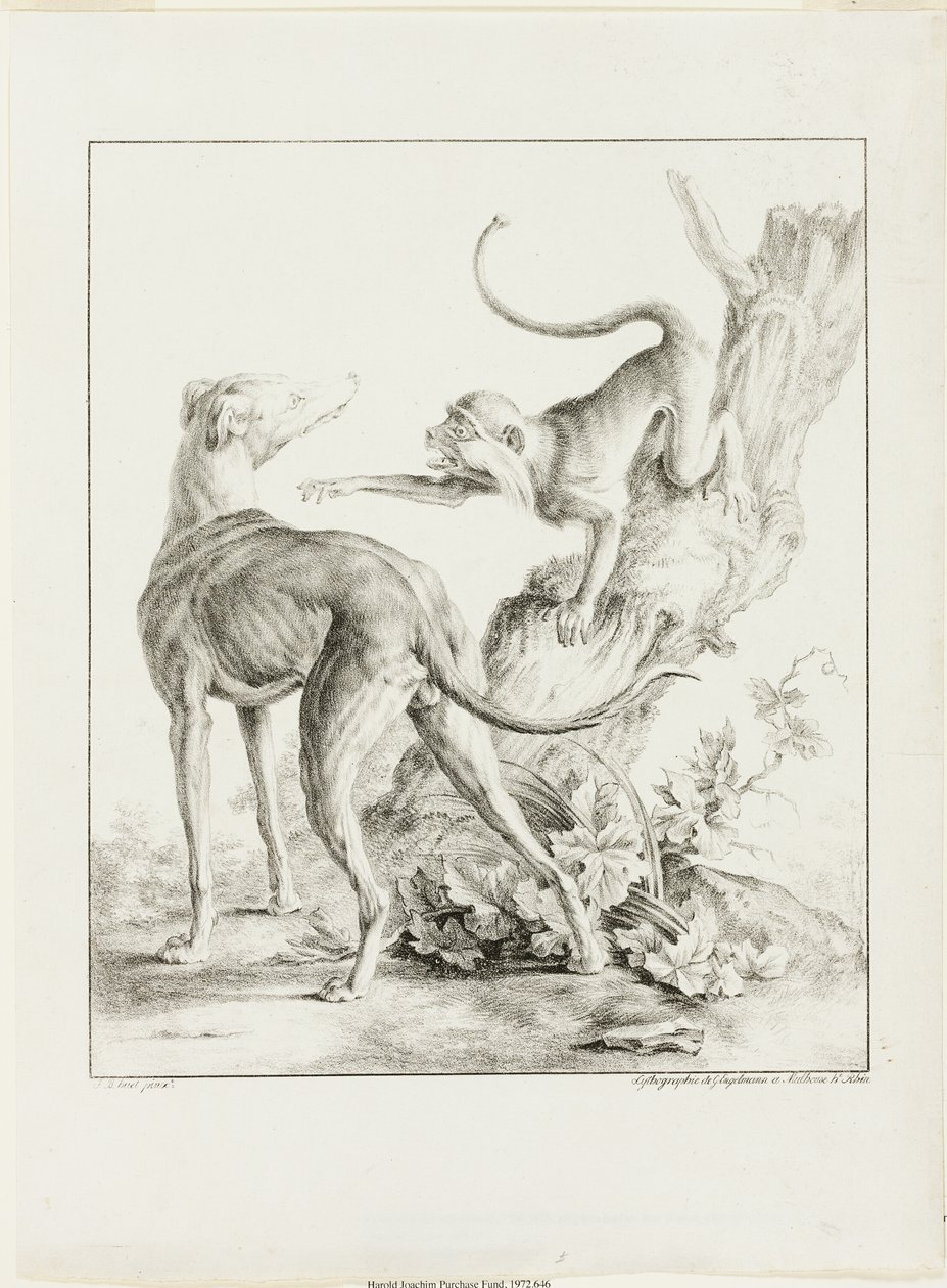 Hond en aap door Gottfried Engelmann