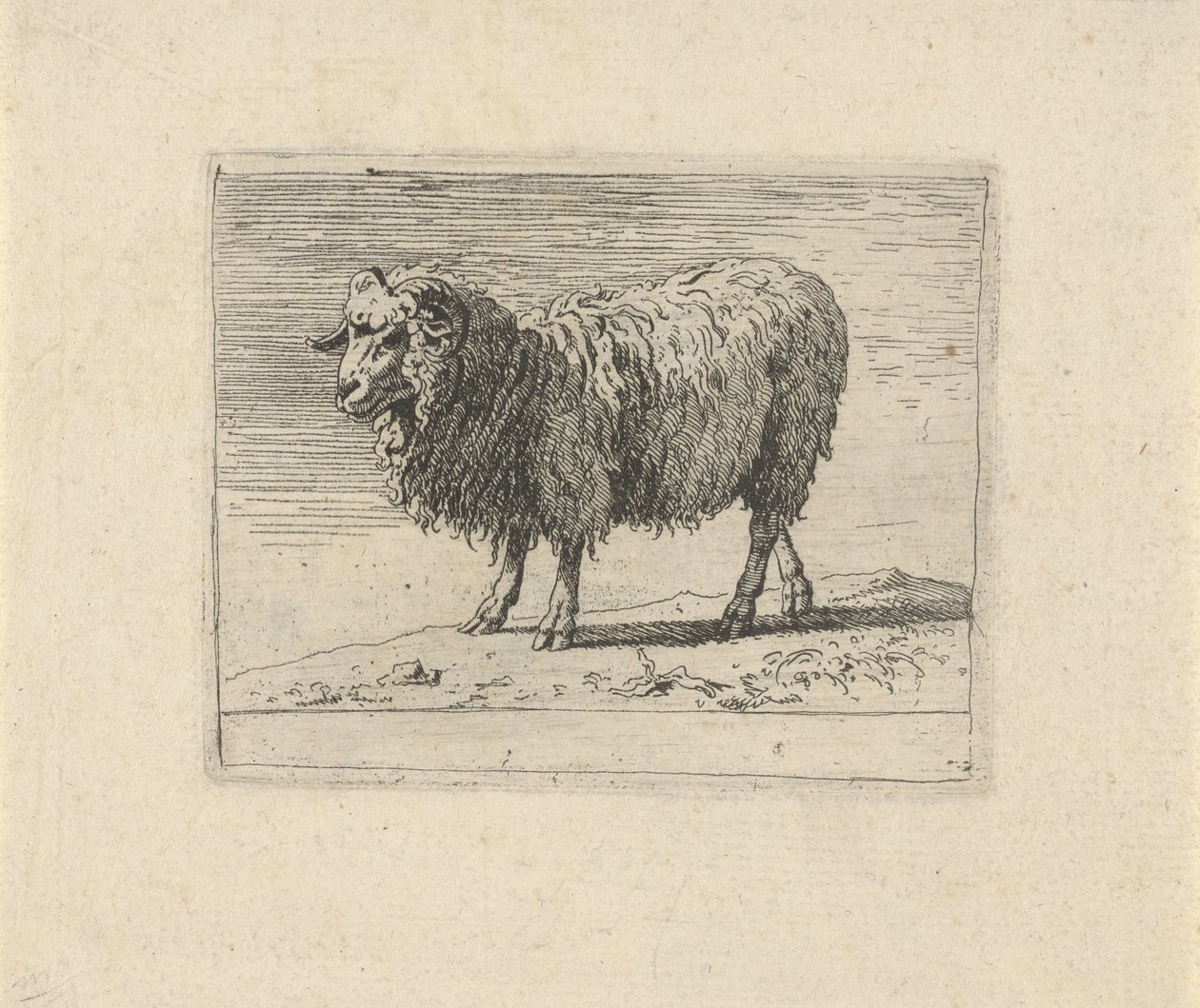 Ram door Govert van der Leeuw