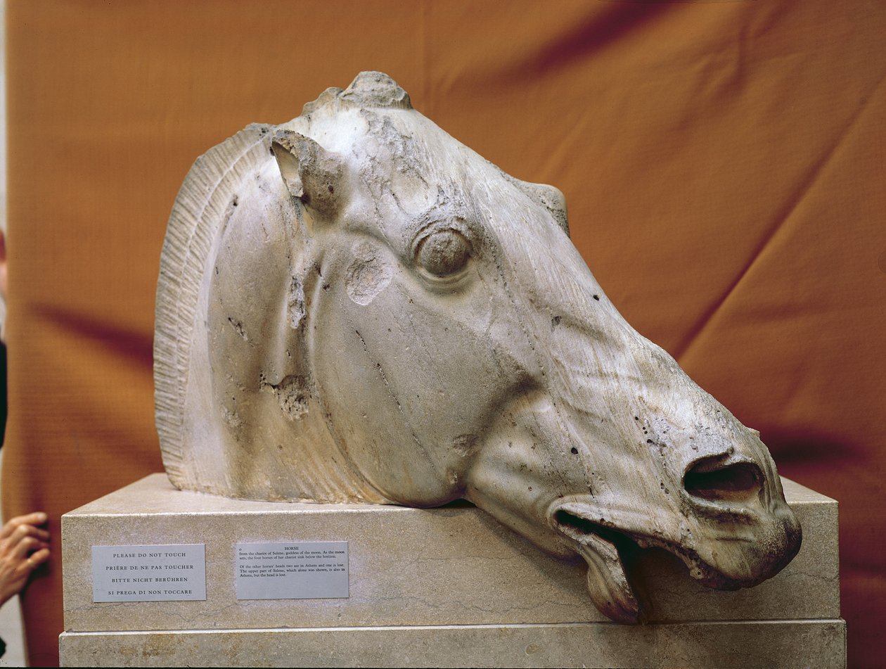 Hoofd van een Paard van Selene door Greek