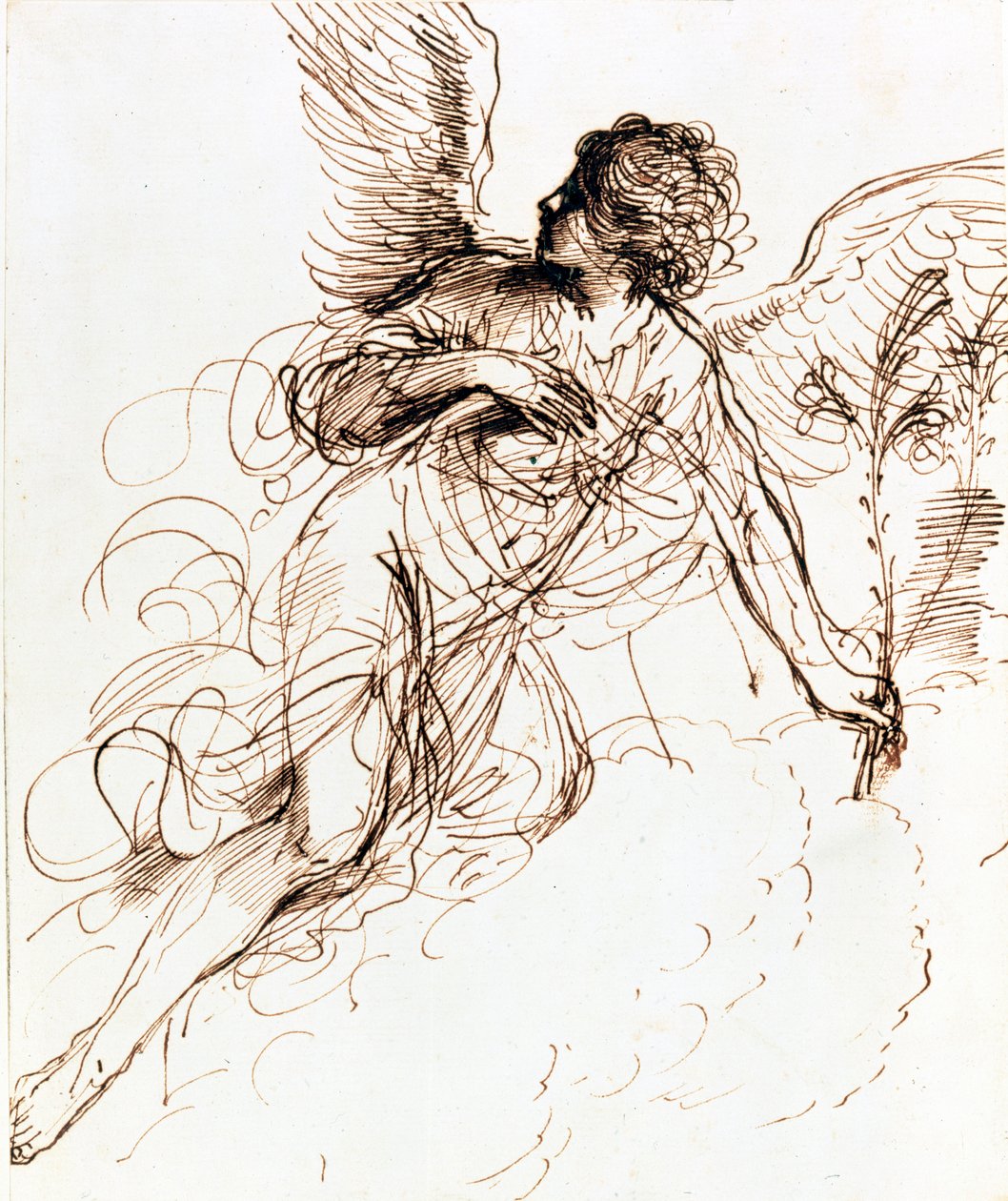 Studie van een Engel, ca. 1611-1666 door Guercino