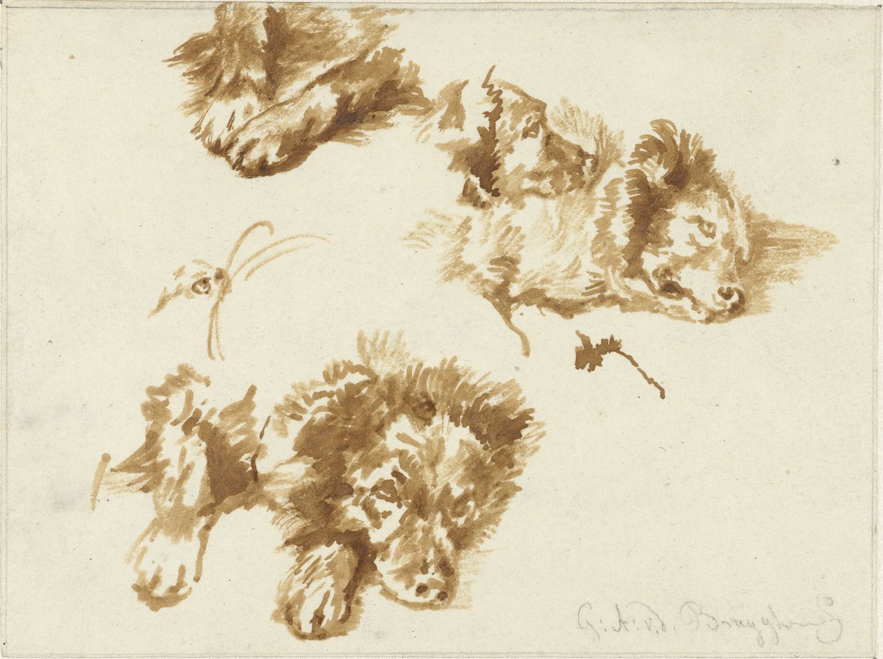 Studies van een hond door Guillaume Anne van der Brugghen