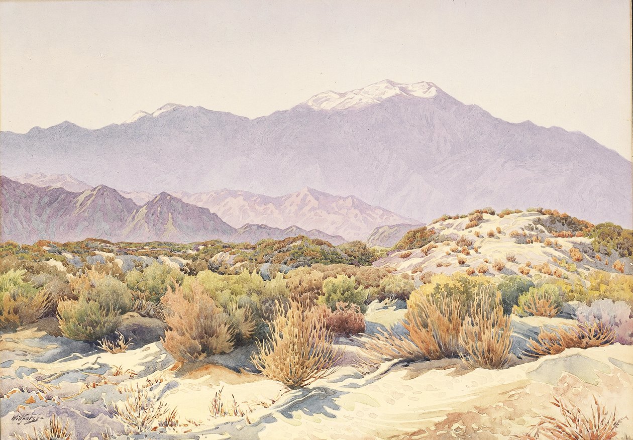 San Jacinto door Gunnar Widforss