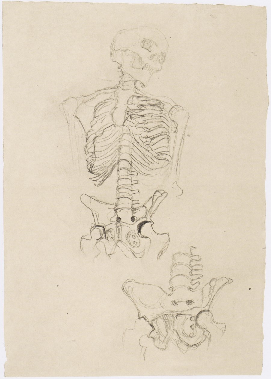 Twee skeletstudies, de bovenste met hoofd naar rechts door Gustav Klimt