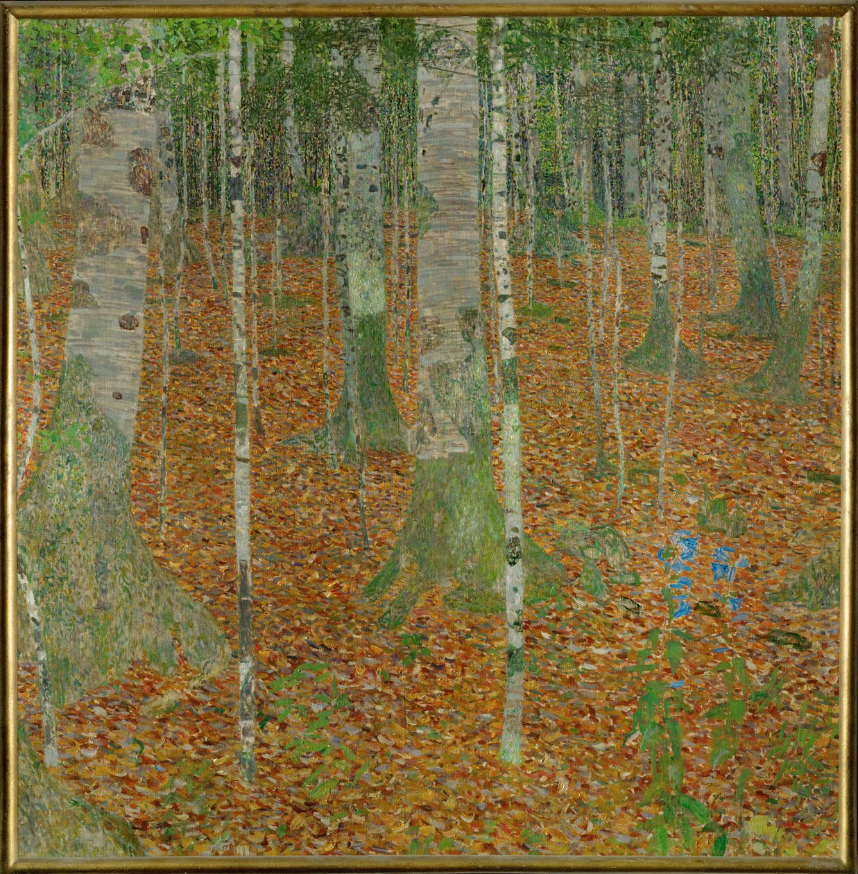 Beukenbos (Berkenbos) door Gustav Klimt
