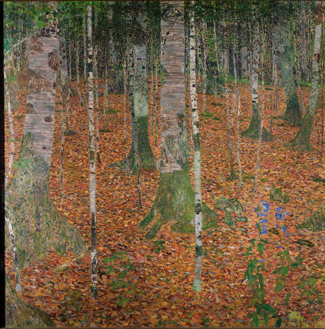 Berkenbos door Gustav Klimt