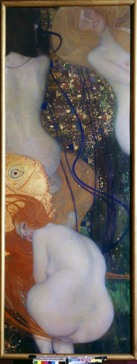 Goudvis door Gustav Klimt