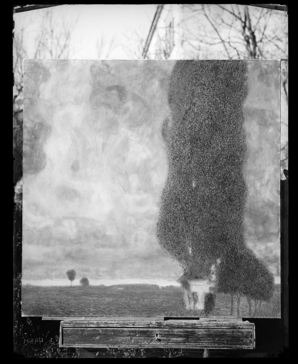 De ligplaats katoenboom II (opkomende storm) door Gustav Klimt