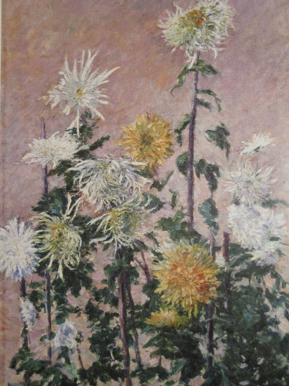 Witte en Gele Chrysanten door Gustave Caillebotte