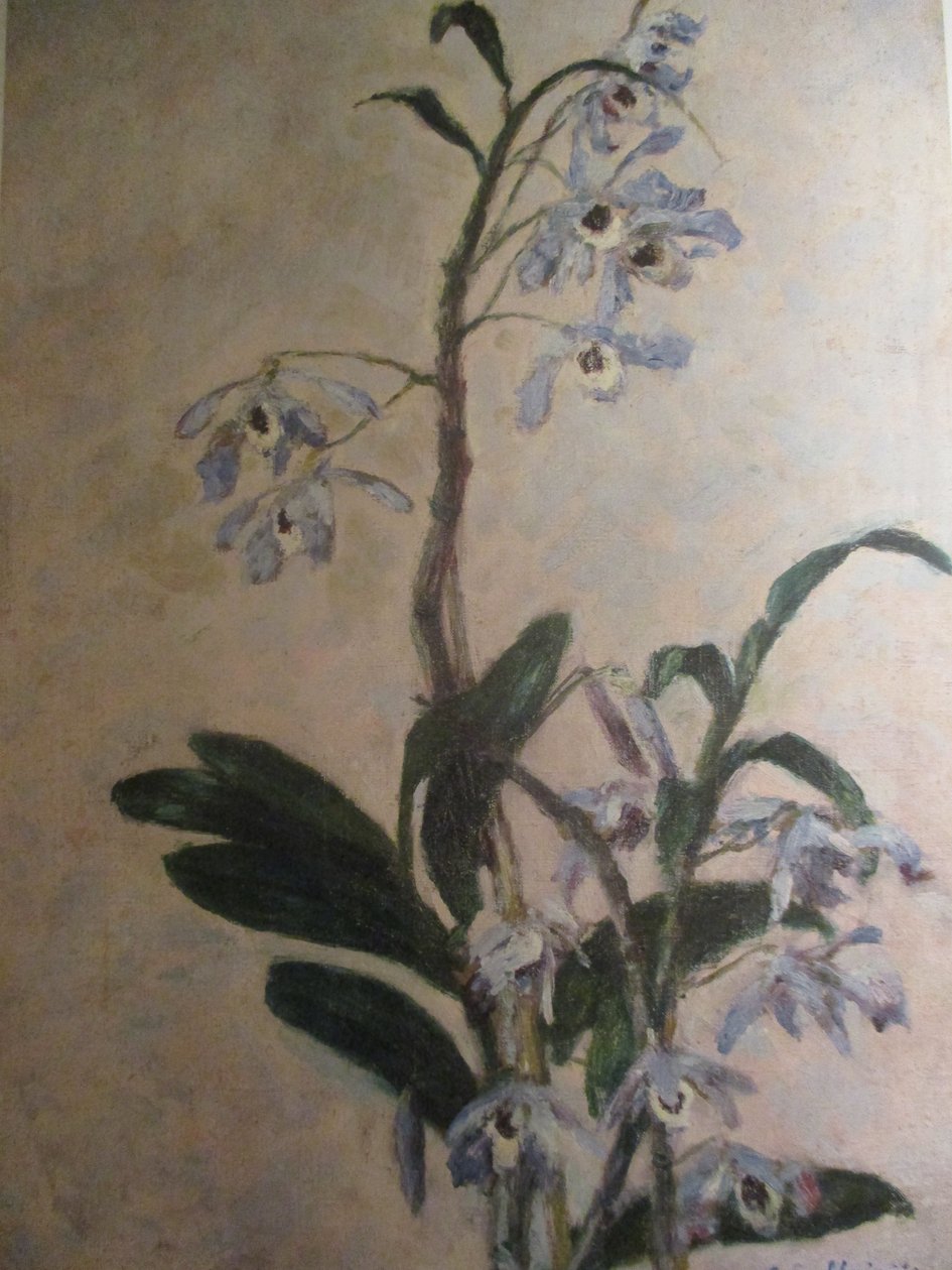De Orchideeën door Gustave Caillebotte