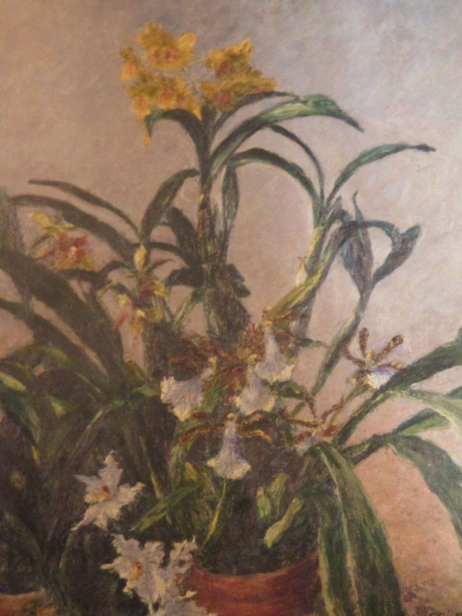 Gele Orchideeën door Gustave Caillebotte