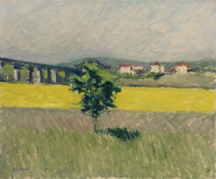 Weide bij de Pont d