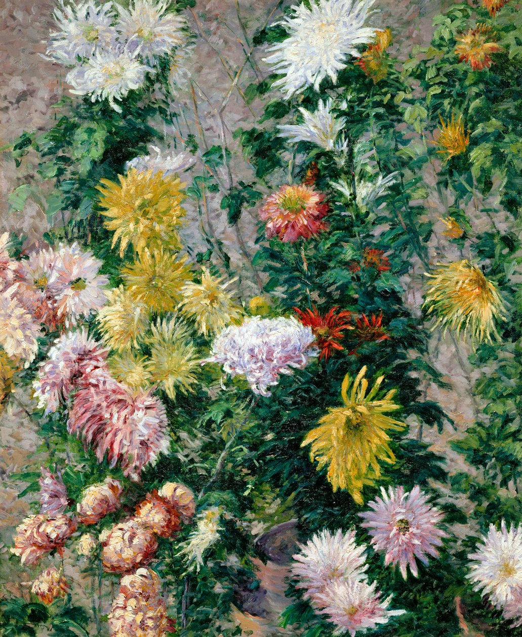 Witte en gele chrysanten, 1893 door Gustave Caillebotte