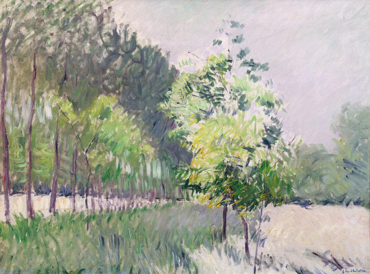 Boomgaard en laan van bomen door Gustave Caillebotte