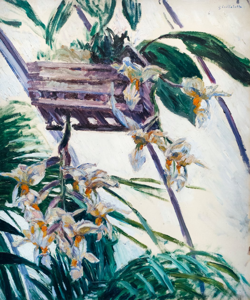 Orchideeën door Gustave Caillebotte