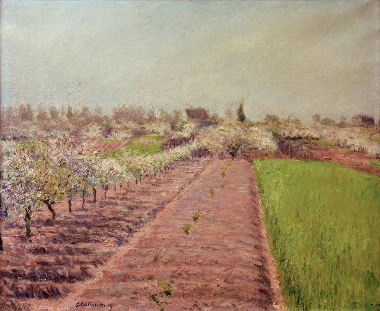 Bloeiende appelbomen, heuvel van Colombes door Gustave Caillebotte